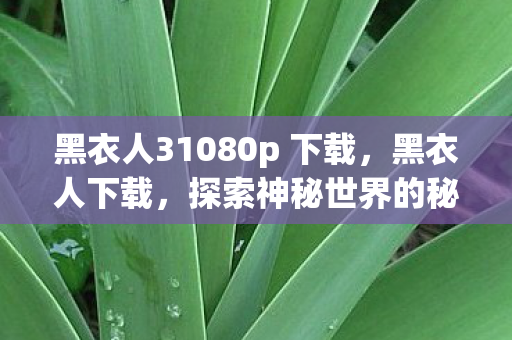 黑衣人31080p 下载，黑衣人下载，探索神秘世界的秘密守护者