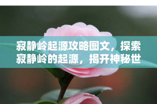 寂静岭起源攻略图文，探索寂静岭的起源，揭开神秘世界的神秘面纱