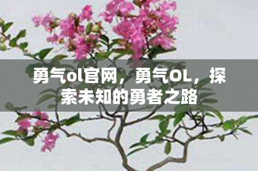 勇气ol官网，勇气OL，探索未知的勇者之路