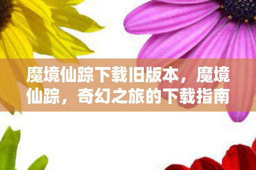 魔境仙踪下载旧版本，魔境仙踪，奇幻之旅的下载指南