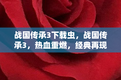战国传承3下载虫，战国传承3，热血重燃，经典再现—游戏下载全攻略