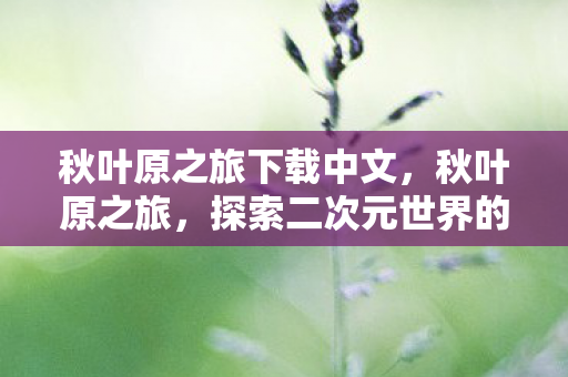 秋叶原之旅下载中文，秋叶原之旅，探索二次元世界的魅力下载体验