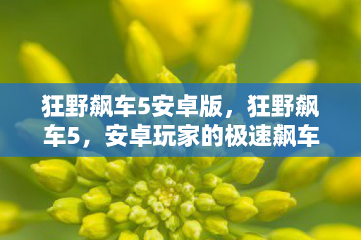狂野飙车5安卓版，狂野飙车5，安卓玩家的极速飙车体验