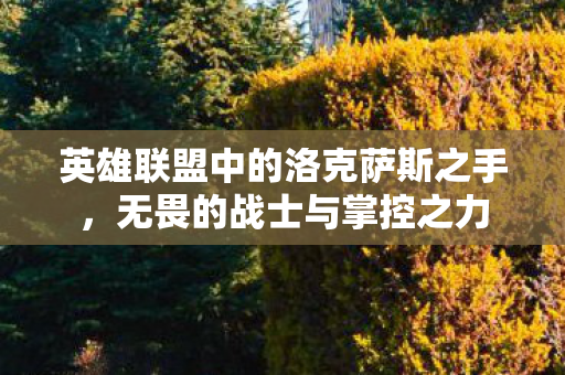 英雄联盟中的洛克萨斯之手，无畏的战士与掌控之力