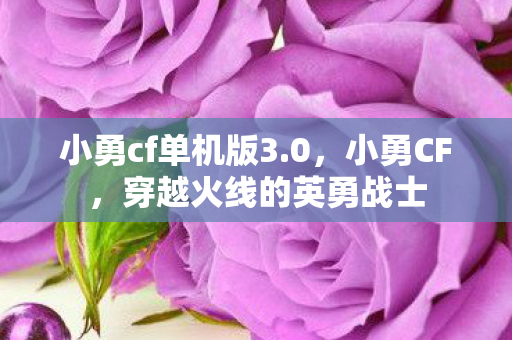 小勇cf单机版3.0，小勇CF，穿越火线的英勇战士