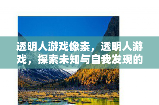 透明人游戏像素，透明人游戏，探索未知与自我发现的冒险之旅