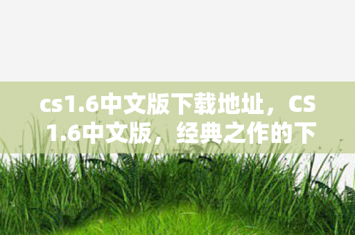 cs1.6中文版下载地址，CS 1.6中文版，经典之作的下载与体验