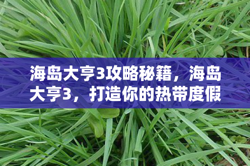 海岛大亨3攻略秘籍，海岛大亨3，打造你的热带度假胜地