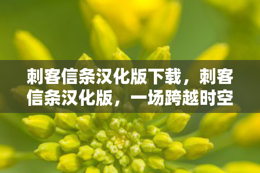 刺客信条汉化版下载，刺客信条汉化版，一场跨越时空的信仰之旅