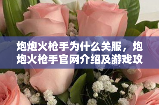 炮炮火枪手为什么关服，炮炮火枪手官网介绍及游戏攻略