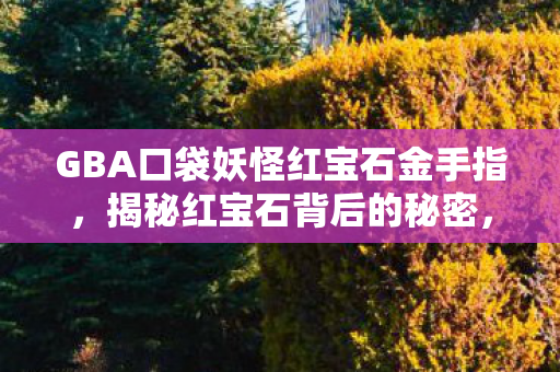GBA口袋妖怪红宝石金手指，揭秘红宝石背后的秘密，口袋妖怪GBA游戏传奇之旅