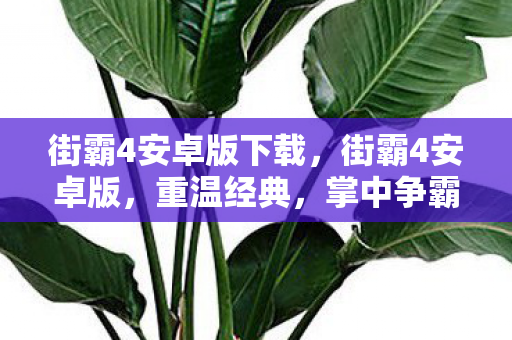 街霸4安卓版下载，街霸4安卓版，重温经典，掌中争霸