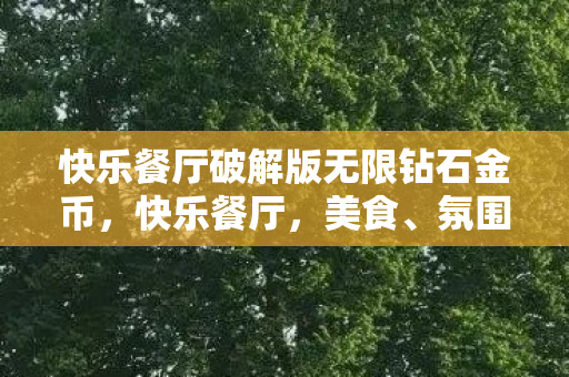 快乐餐厅破解版无限钻石金币，快乐餐厅，美食、氛围与幸福的完美结合