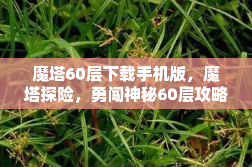 魔塔60层下载手机版，魔塔探险，勇闯神秘60层攻略及下载指南