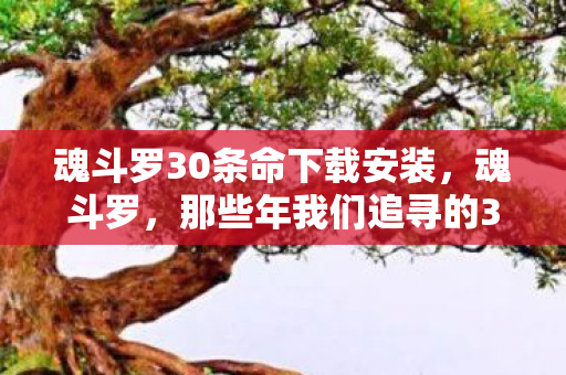 魂斗罗30条命下载安装，魂斗罗，那些年我们追寻的30条命