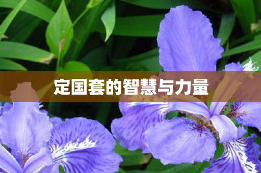 定国套的智慧与力量