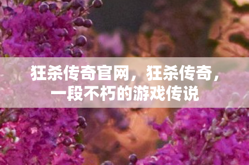 狂杀传奇官网，狂杀传奇，一段不朽的游戏传说