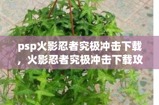psp火影忍者究极冲击下载，火影忍者究极冲击下载攻略及游戏介绍