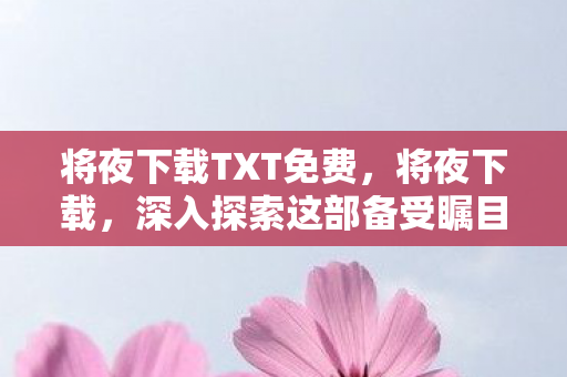 将夜下载TXT免费，将夜下载，深入探索这部备受瞩目的玄幻大作