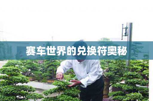 赛车世界的兑换符奥秘