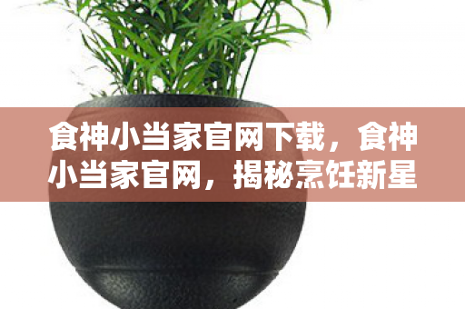 食神小当家官网下载，食神小当家官网，揭秘烹饪新星背后的故事