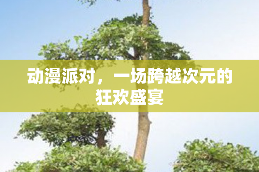 动漫派对，一场跨越次元的狂欢盛宴