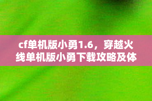 cf单机版小勇1.6，穿越火线单机版小勇下载攻略及体验分享