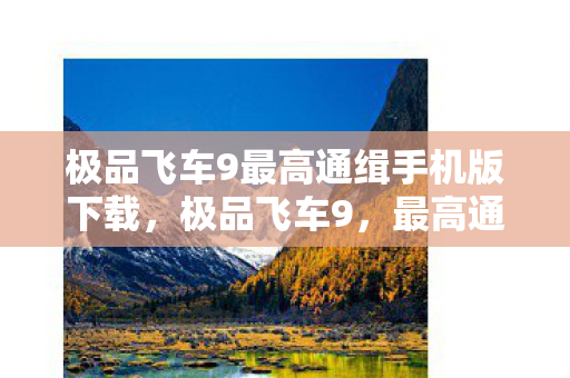 极品飞车9最高通缉手机版下载，极品飞车9，最高通缉—速度与激情的无尽追逐