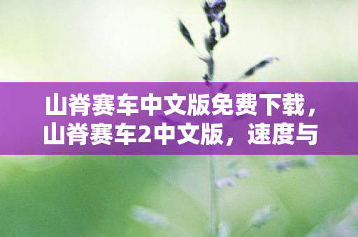 山脊赛车中文版免费下载，山脊赛车2中文版，速度与激情的完美再现