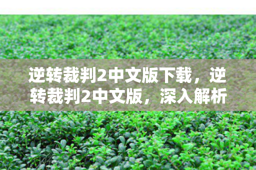 逆转裁判2中文版下载，逆转裁判2中文版，深入解析与游戏体验