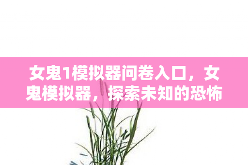 女鬼1模拟器问卷入口，女鬼模拟器，探索未知的恐怖世界