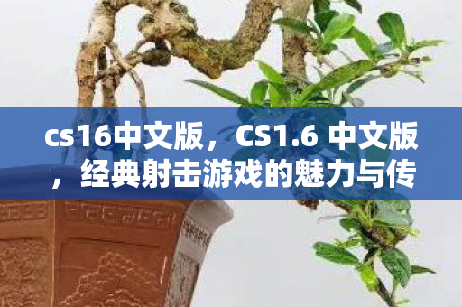cs16中文版,CS1.6 中文版,经典射击游戏的魅力与传承 cs16中文版,CS1.6 中文版,经典射击游戏的魅力与传承