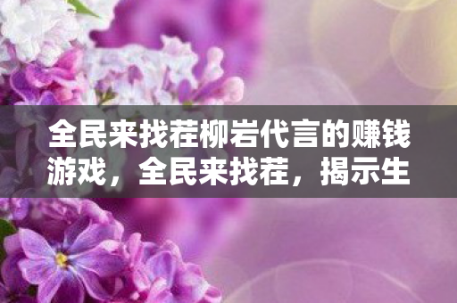 全民来找茬柳岩代言的赚钱游戏，全民来找茬，揭示生活中的细节差异，激发大众的观察力