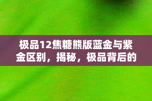 极品12焦糖熊版蓝金与紫金区别，揭秘，极品背后的故事—探寻极品12的神秘面纱