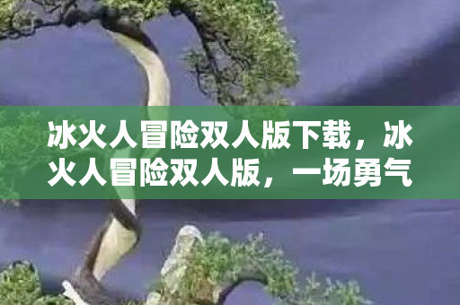 冰火人冒险双人版下载，冰火人冒险双人版，一场勇气与智慧的挑战之旅
