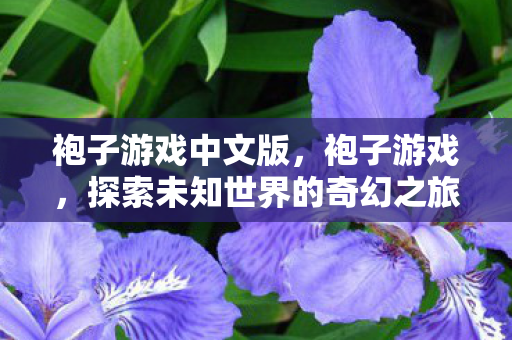 袍子游戏中文版，袍子游戏，探索未知世界的奇幻之旅