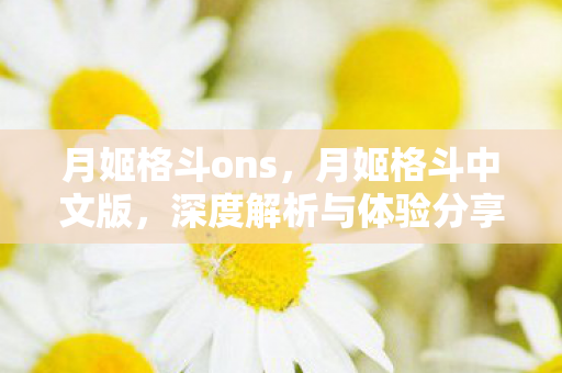 月姬格斗ons，月姬格斗中文版，深度解析与体验分享