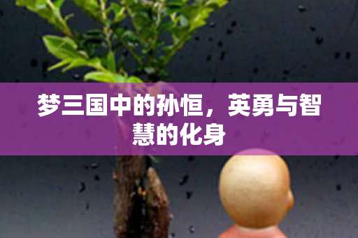 梦三国中的孙恒，英勇与智慧的化身