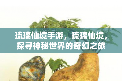 琉璃仙境手游，琉璃仙境，探寻神秘世界的奇幻之旅