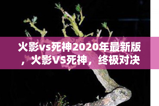 火影vs死神2020年最新版，火影VS死神，终极对决的震撼再现