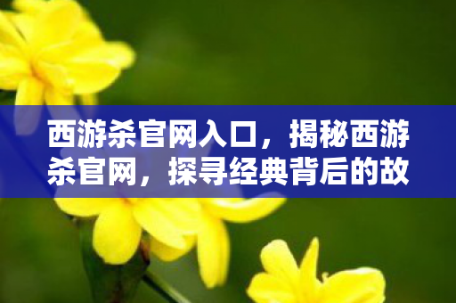 西游杀官网入口，揭秘西游杀官网，探寻经典背后的故事