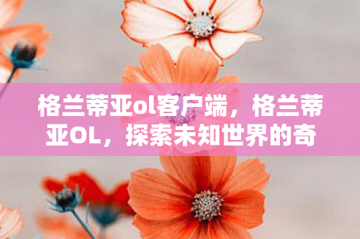 格兰蒂亚ol客户端，格兰蒂亚OL，探索未知世界的奇幻冒险之旅