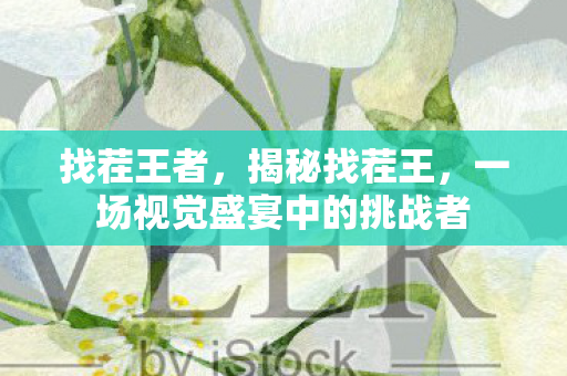 找茬王者，揭秘找茬王，一场视觉盛宴中的挑战者