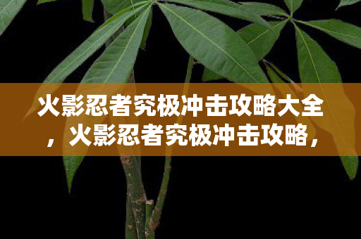 火影忍者究极冲击攻略大全，火影忍者究极冲击攻略，掌握游戏核心，成为终极强者！