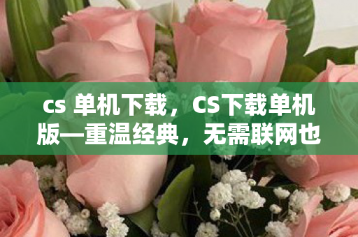 cs 单机下载，CS下载单机版—重温经典，无需联网也能战