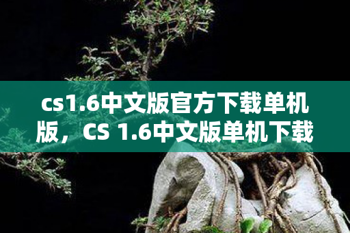 cs1.6中文版官方下载单机版，CS 1.6中文版单机下载攻略