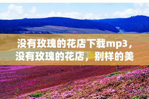 没有玫瑰的花店下载mp3，没有玫瑰的花店，别样的美丽与生活的启示