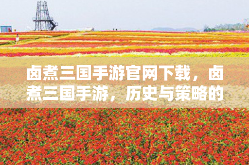 卤煮三国手游官网下载，卤煮三国手游，历史与策略的完美融合