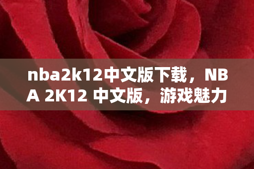 nba2k12中文版下载，NBA 2K12 中文版，游戏魅力与体验的全面展现
