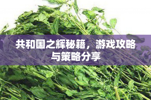 共和国之辉秘籍，游戏攻略与策略分享